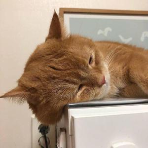 12学生裸体不打码
